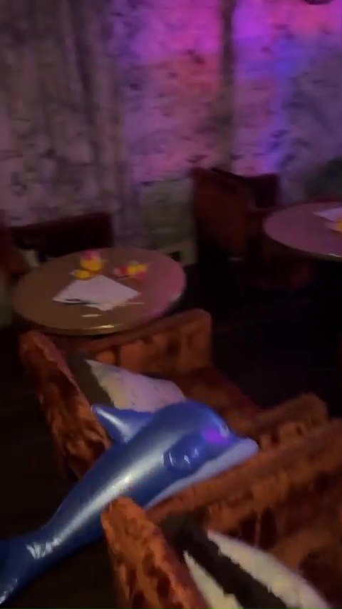 Inflatable beach toys were scattered around the sofas