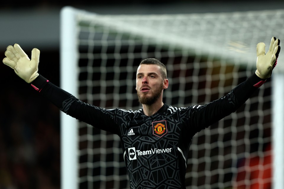Aaron Wan-Bissaka and David de Gea were both culpable for losing the ball before the goal