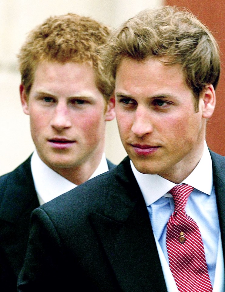 He and brother William begged their dad not to marry Camilla, Harry claims
