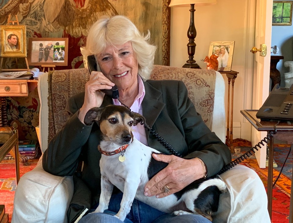 Camilla took part in a phone call for the charity Silver Line in 2020