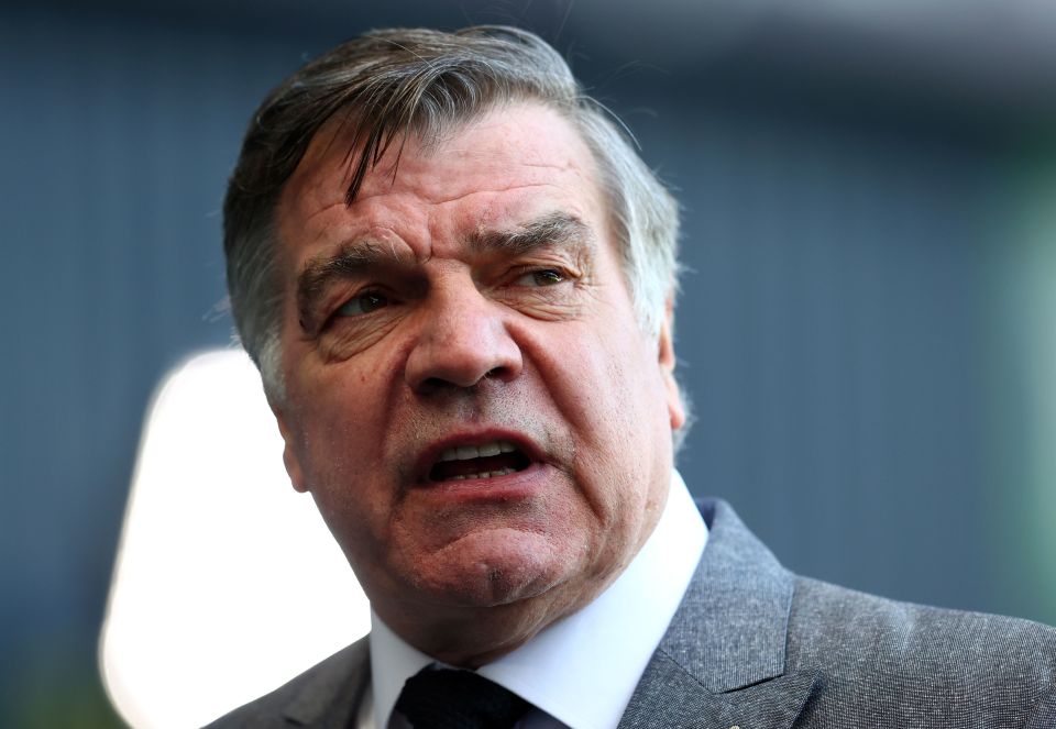 Sam Allardyce is ready for a Premier League return with a team fighting relegation