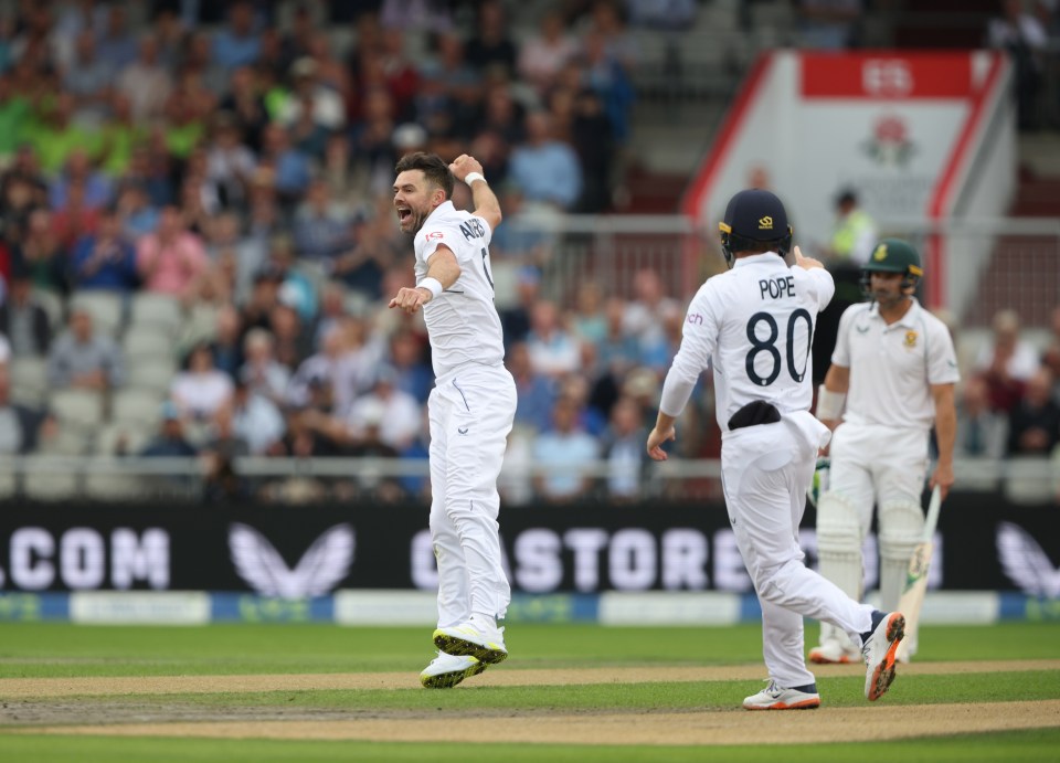 England tore to victory as New Zealand's batting line-up collapsed under expert bowling