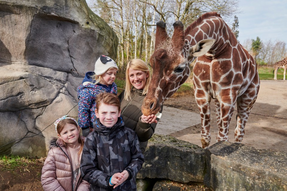 The Surrey theme park has more than 40 rides and attraction plus more than 1,000 animals in the zoo