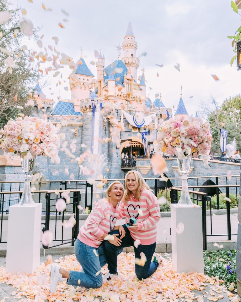 The star popped the question in the middle of Disneyland