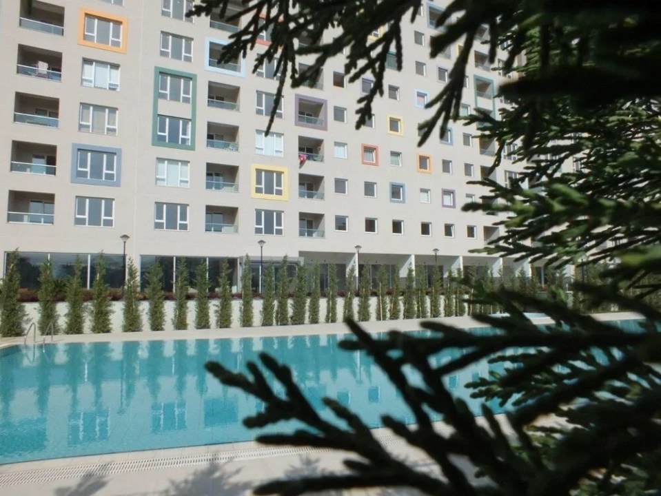 The luxurious flats fell into the pool on the property