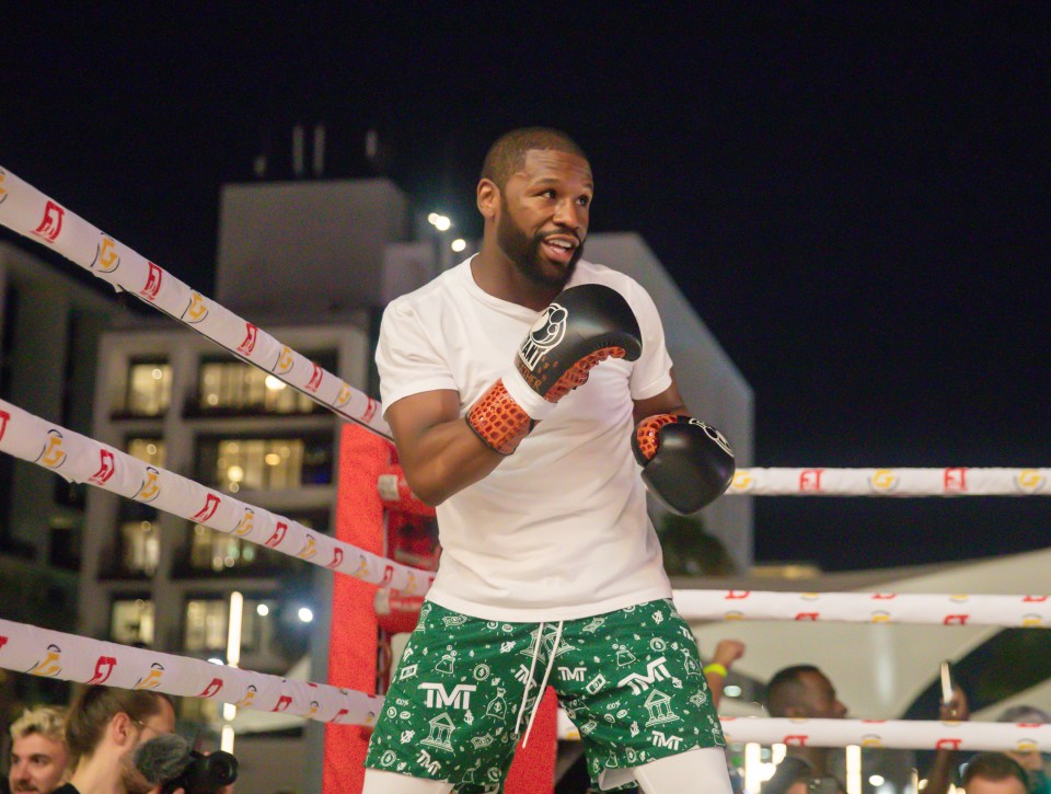 Floyd Mayweather has named his five favourite fighters - including himself