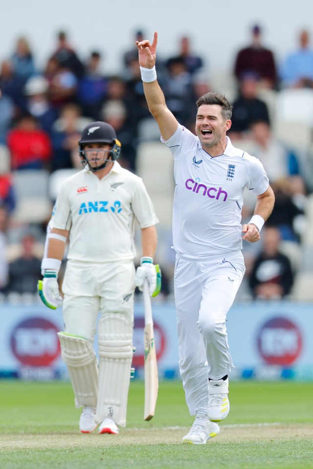 James Anderson celebrates after taking the wicket of Kane Williamson