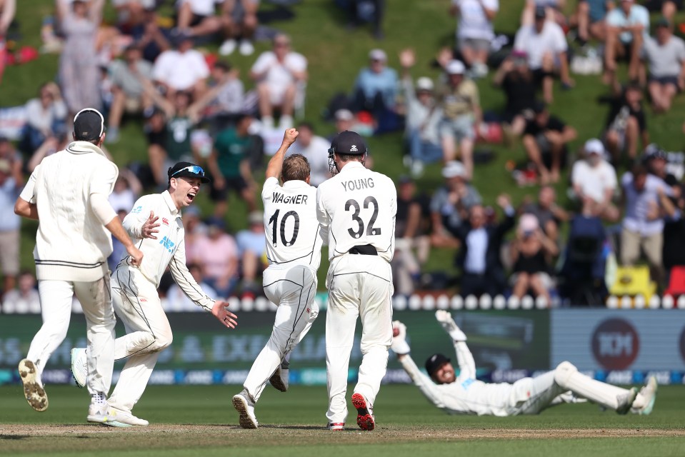 Neil Wagner took the wicket of Jimmy Anderson to seal a one-run win