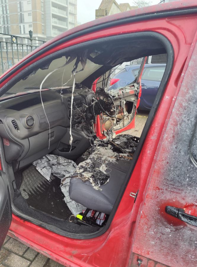 Police are hunting for the yobs who torched vans and cars in an overnight rampage across east London