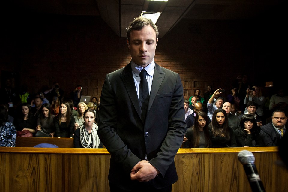 Oscar Pistorius in court in Pretoria, South Africa in 2013