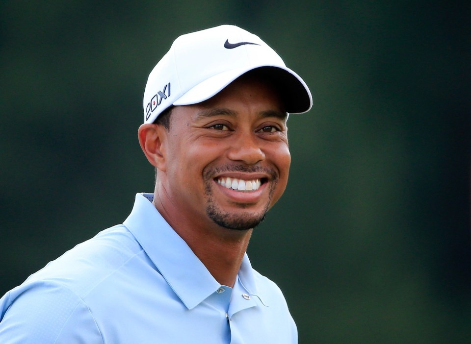 Golf legend Tiger Woods in 2013 