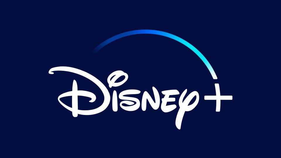 The streaming giant has chosen not to renew the series