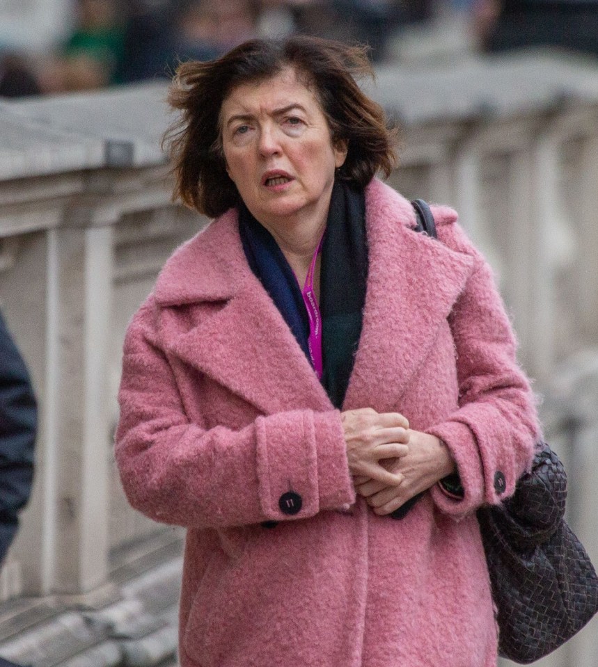 EX-LABOUR spin doctor Alastair Campbell admits trying to get info on partygate from his pal Sue Gray.