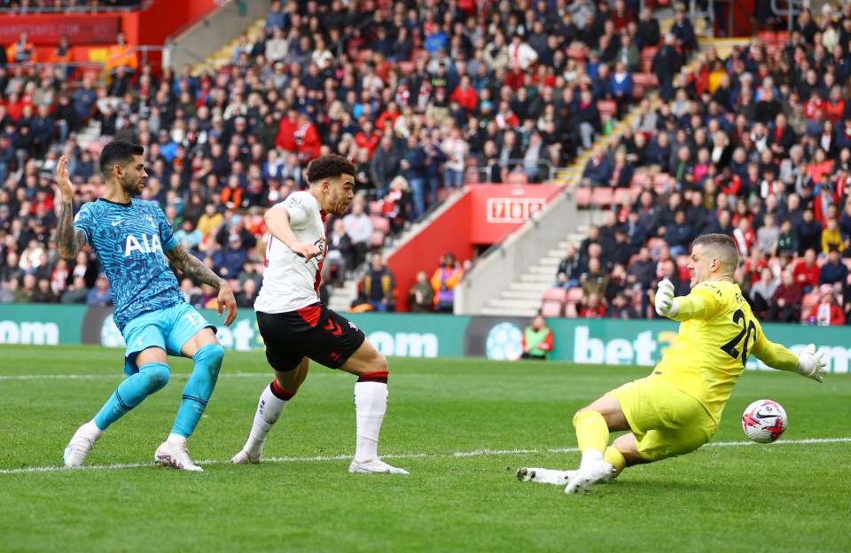 Che Adams levels the scoring