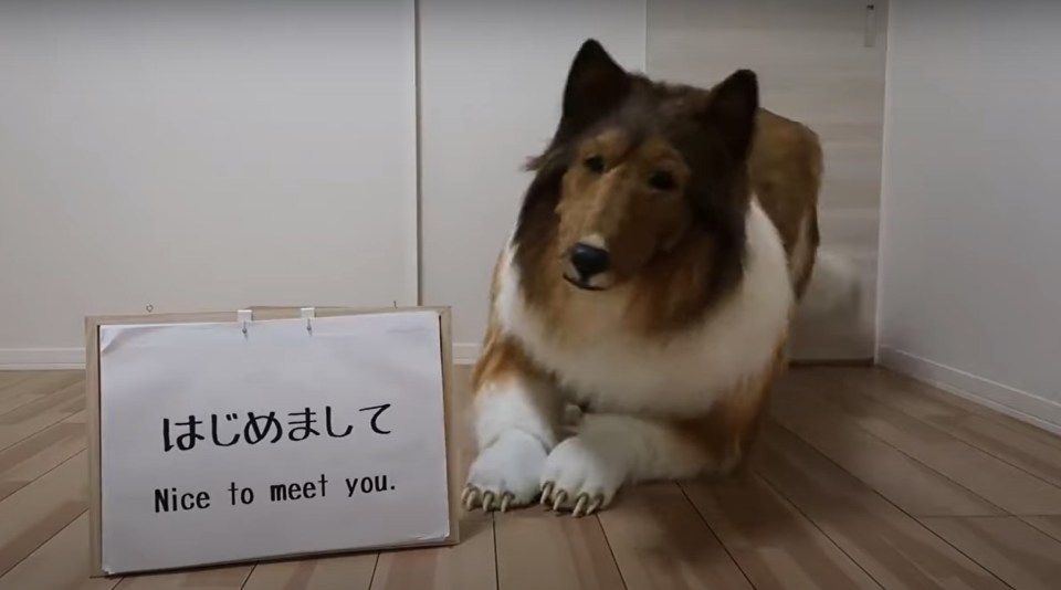 Toko said it has been his lifetime ambition to become an animal