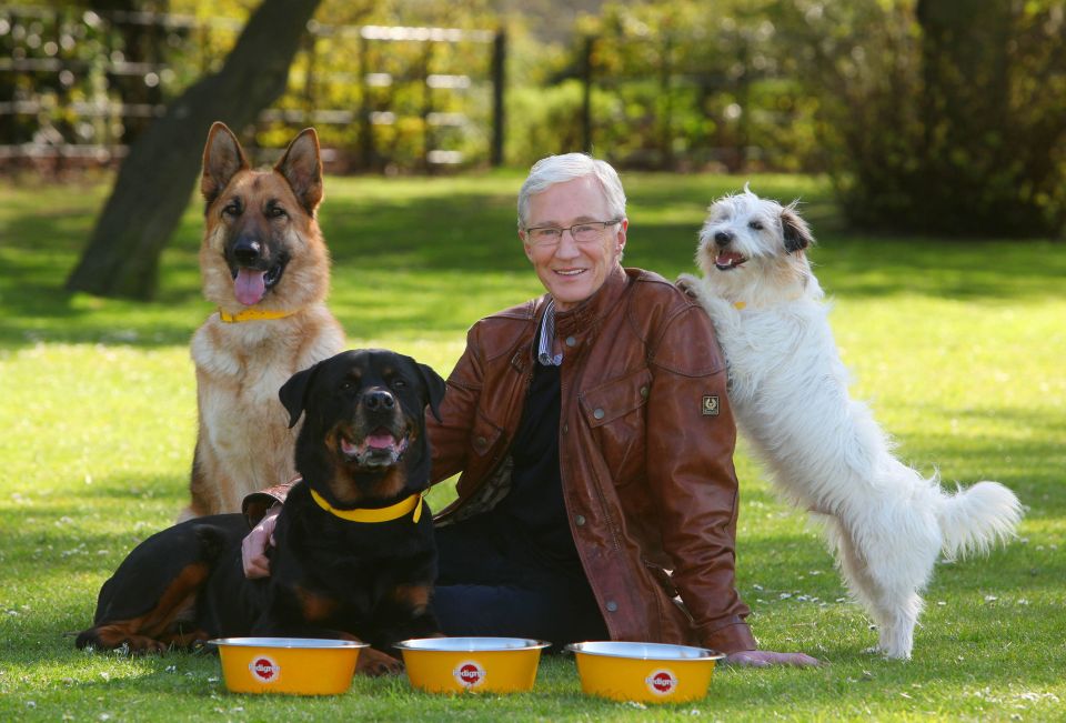 Paul O'Grady: For The Love Of Dogs hit our screens in 2012