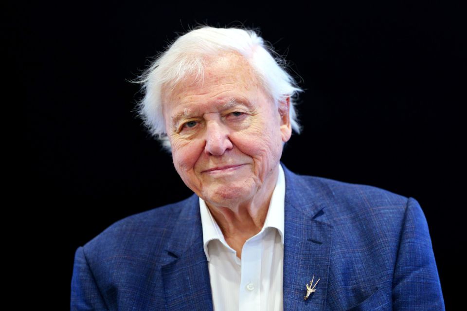 David Attenborough is back with a new series which focuses on wildlife in the UK