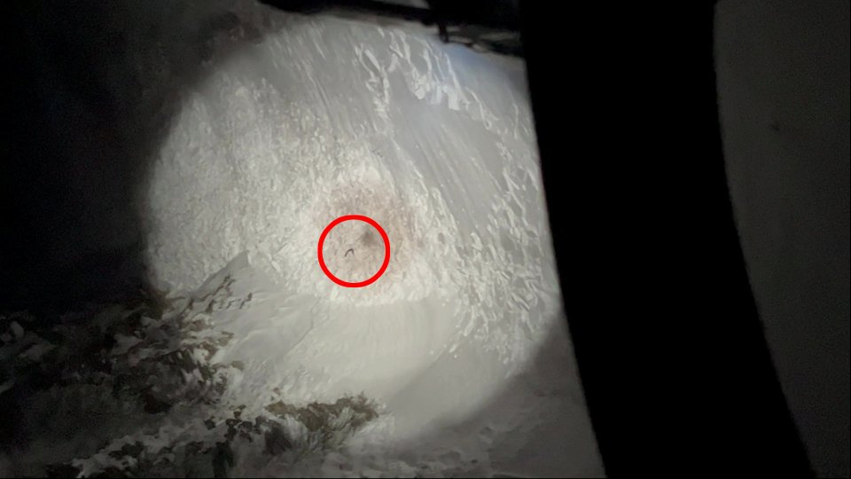 Circled in red is the hikers arm and head sticking out of the snow