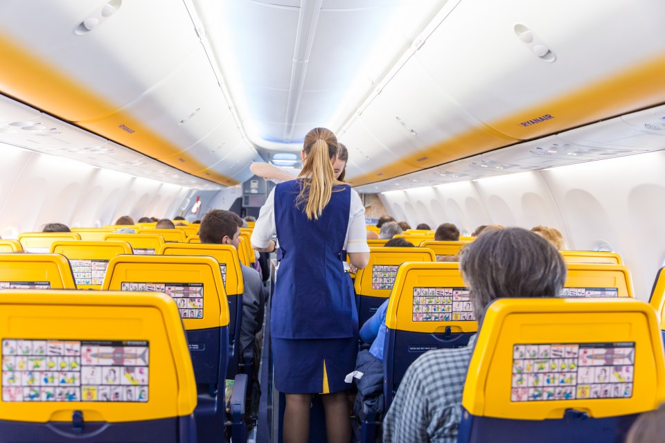 Ryanair flights are some of the cheapest on the market but one underused trick can make them even cheaper