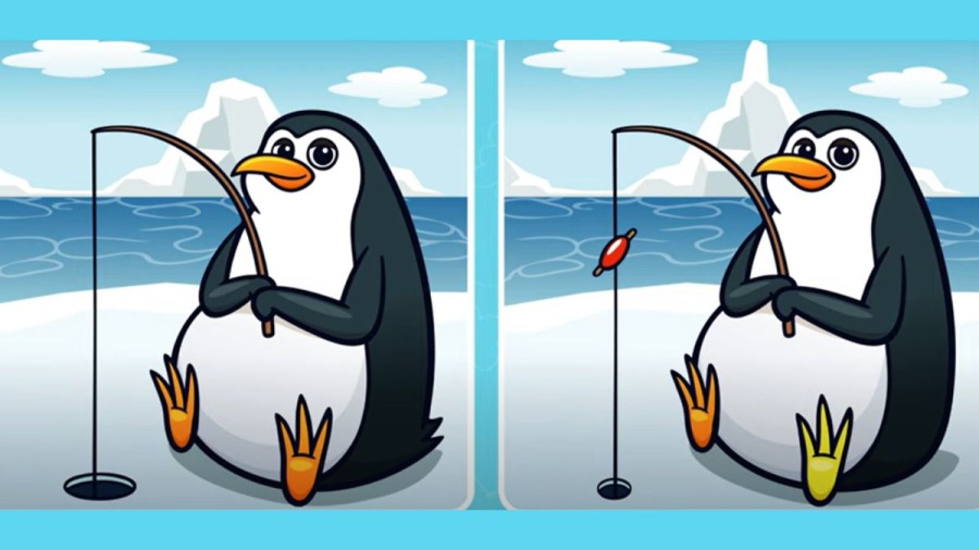 Can you spot the five differences in this icy picture?