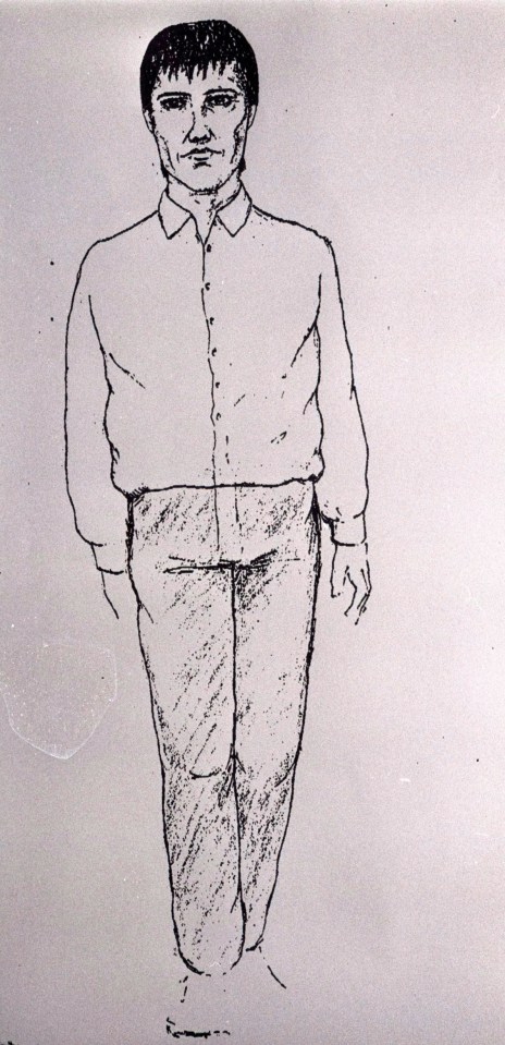 An e-fit issued at the time of Nikki's alleged killer