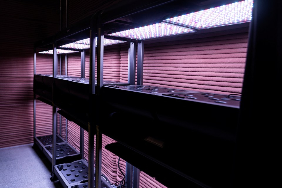 Plant pods to grow vegetables are seen inside the Mars Dune Alpha, NASA's simulated Mars habitat, being used as preparations for sending humans to the Red Planet, at the agency's Johnson Space Center in Houston, Texas, U.S. April 11, 2023. REUTERS/Go Nakamura