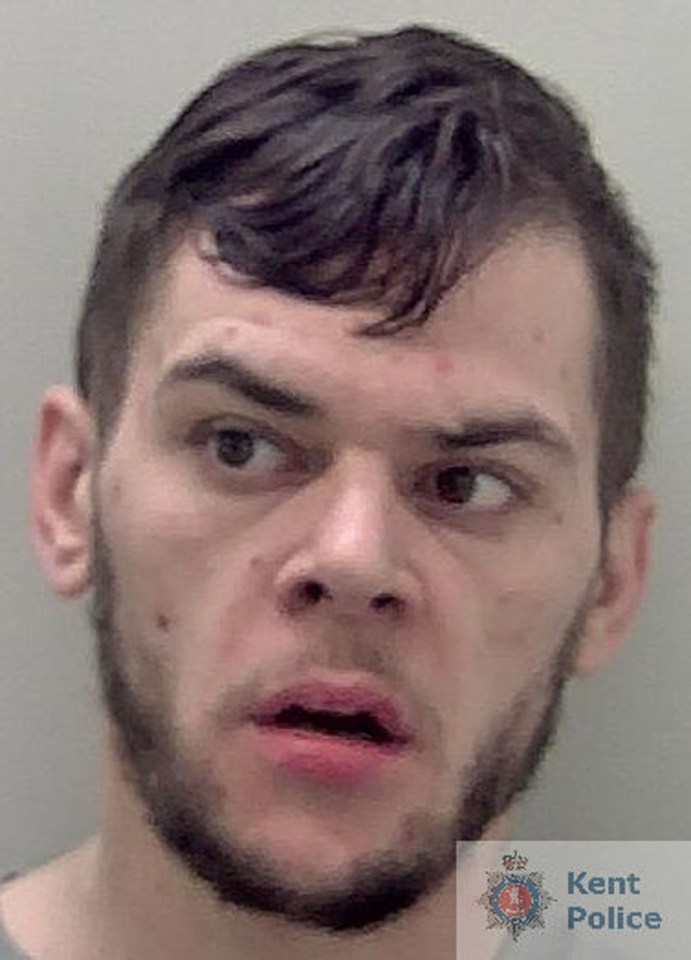 Shamen Williams was last week jailed for 13 years for attacking strangers with a machete