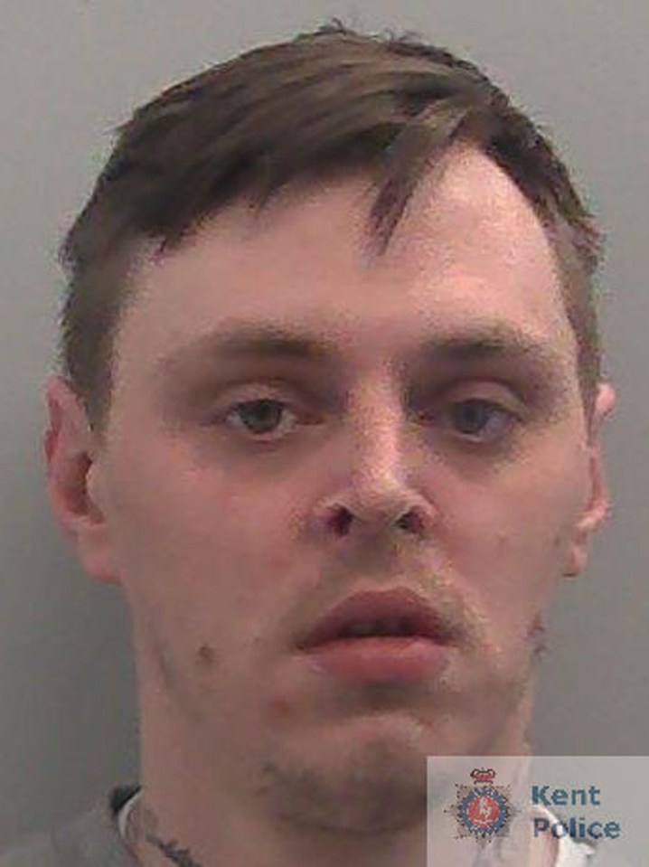 Tyler Williams has now been warned he could receive a life sentence if he keeps on committing crimes