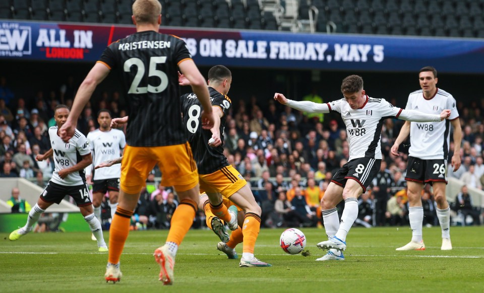 Harry Wilson opened the scoring for Fulham