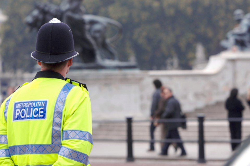 Met police officer, Christopher Brown, has pleaded guilty to sexually assaulting a female officer in a bar whilst off-duty (stock photo)