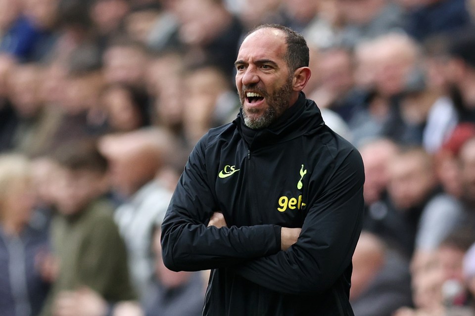 Stellini oversaw Tottenham's 6-1 humiliation at the hands of Newcastle