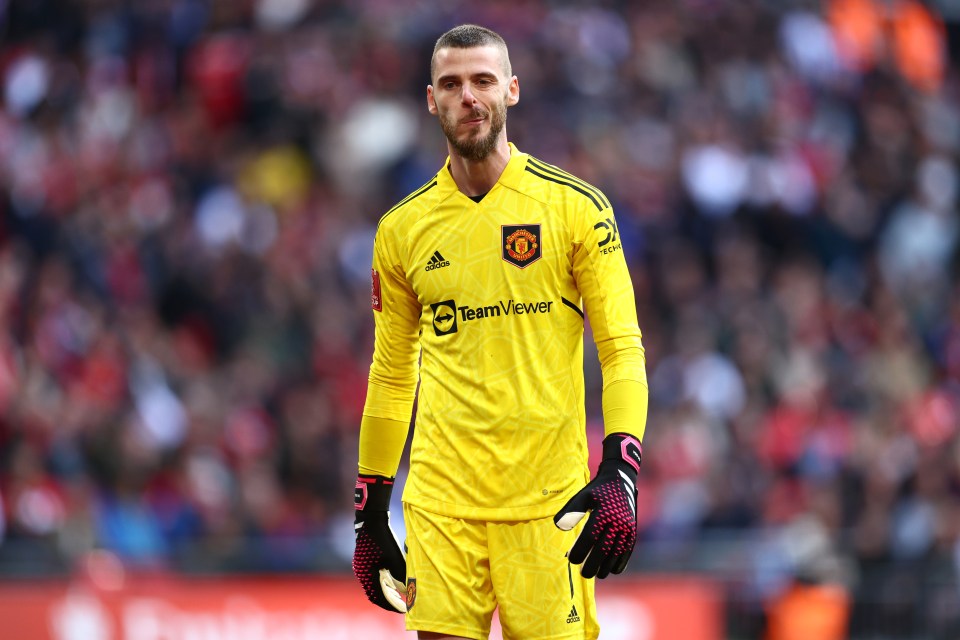 David De Gea is out of contract this summer but could stay with a big pay cut