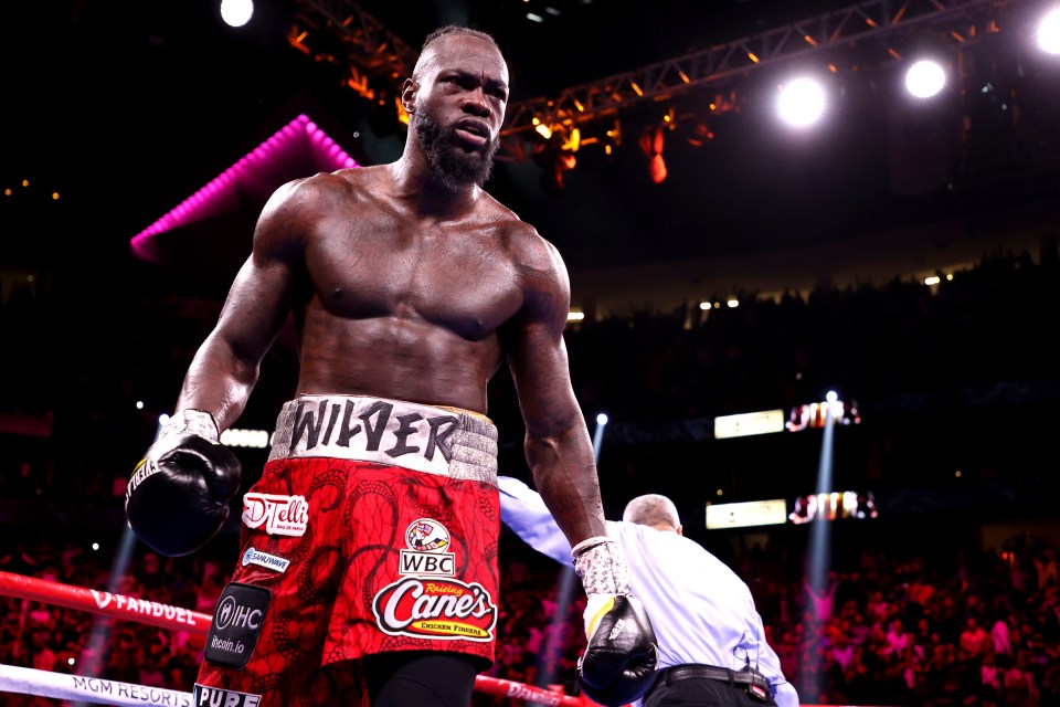 The Bronze Bomber has not fought since beating Robert Helenius in October last year