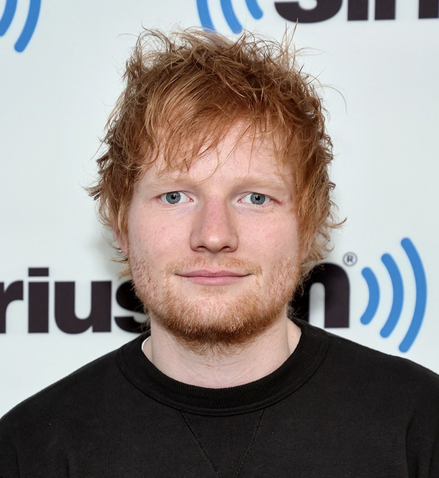 Ed Sheeran was close with Tom and helped to pay his medical bills
