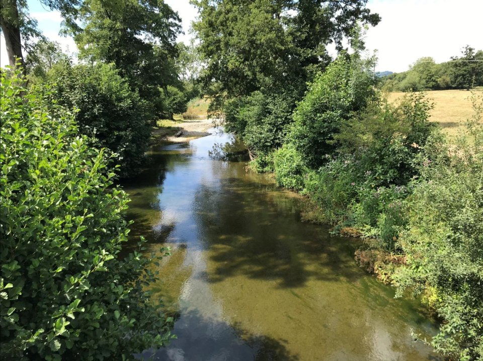 The stunning River Lugg was home to 121 plant species before Price dredged it