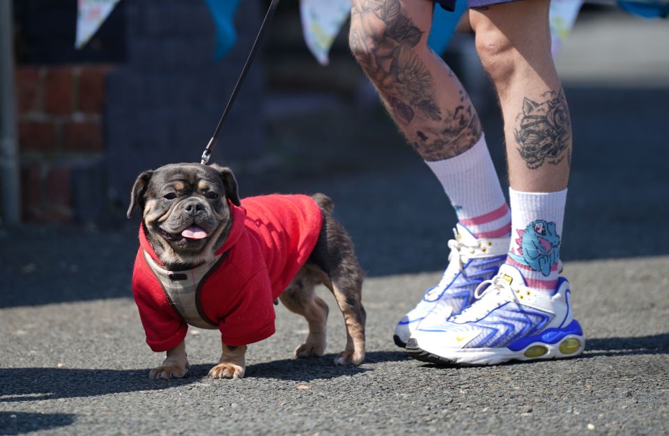 Hundreds of owners brought their dogs along to say goobye