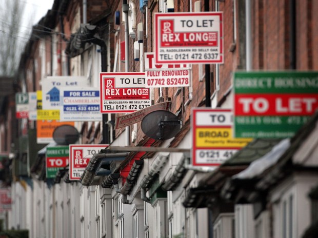 a row of houses with to let signs on them