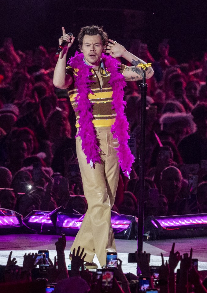 Harry Styles wore this purple feather boa and dazzling yellow and brown shirt at Coventry Building Society Arena