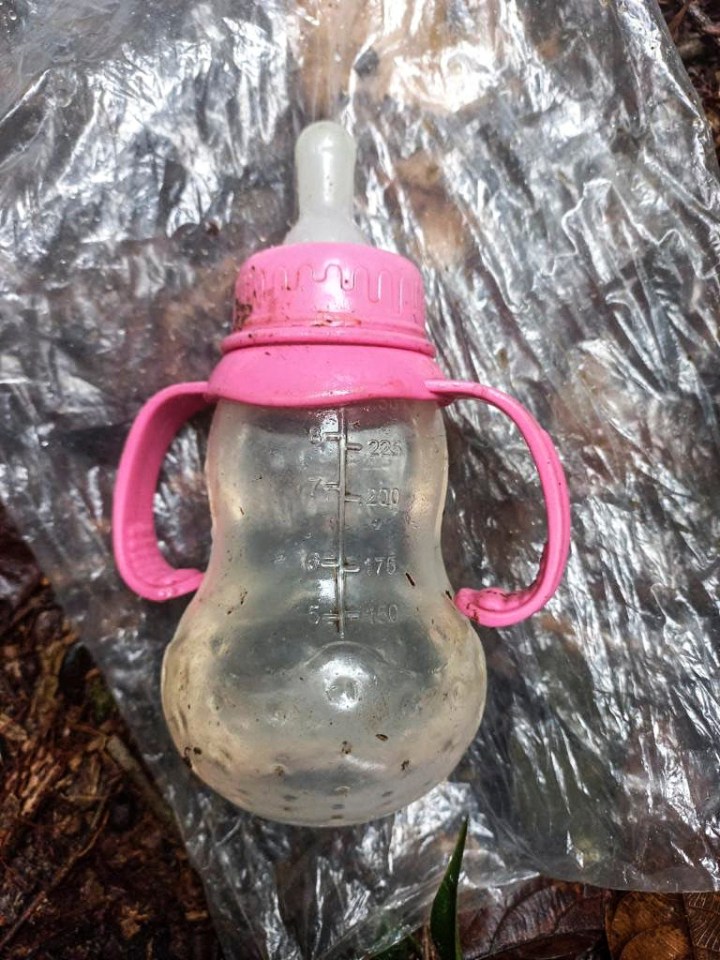 Scissors, shoes, and a baby's bottle could be seen among branches on the jungle floor