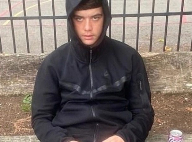 Harvey Evans, 15, and his pal Kyrees Sullivan, 16, were killed in a crash while riding an electric bike