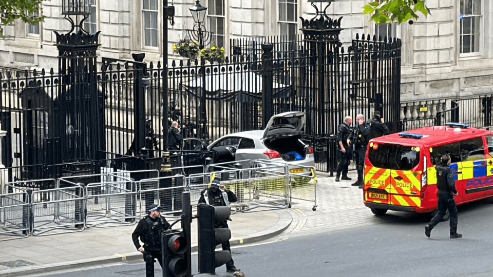 A car has this afternoon smashed into the gates of Downing Street
