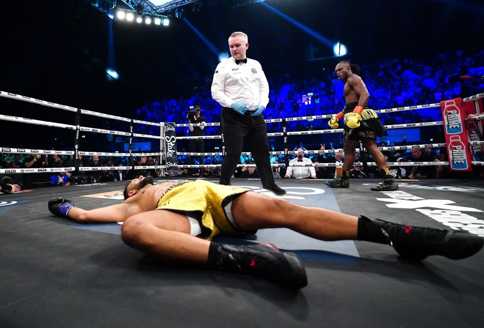 Joe Fournier was knocked out by an accidental elbow from KSI