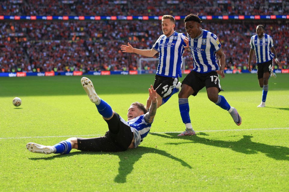 Windass' dramatic winner sparked wild celebrations from the Owls