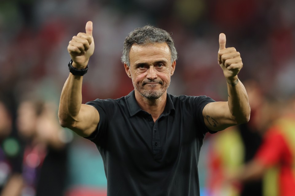 Luis Enrique has been without a team since leaving Spain