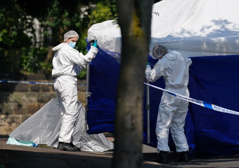 Police forensics officers erected a forensic tent on Magdala Road