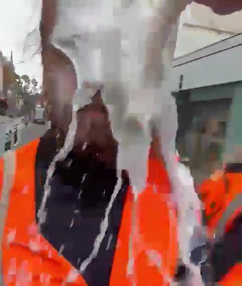 The group were slowing down traffic in Hammersmith, West London
