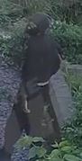 A man matching the suspect's description was caught on CCTV trying to get into a homeless shelter near the attacks at 4am Tuesday