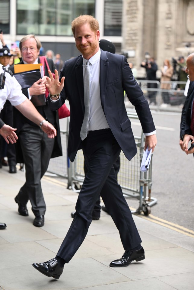 Prince Harry has been instrumental in bringing the case to court - but struggled to give specifics