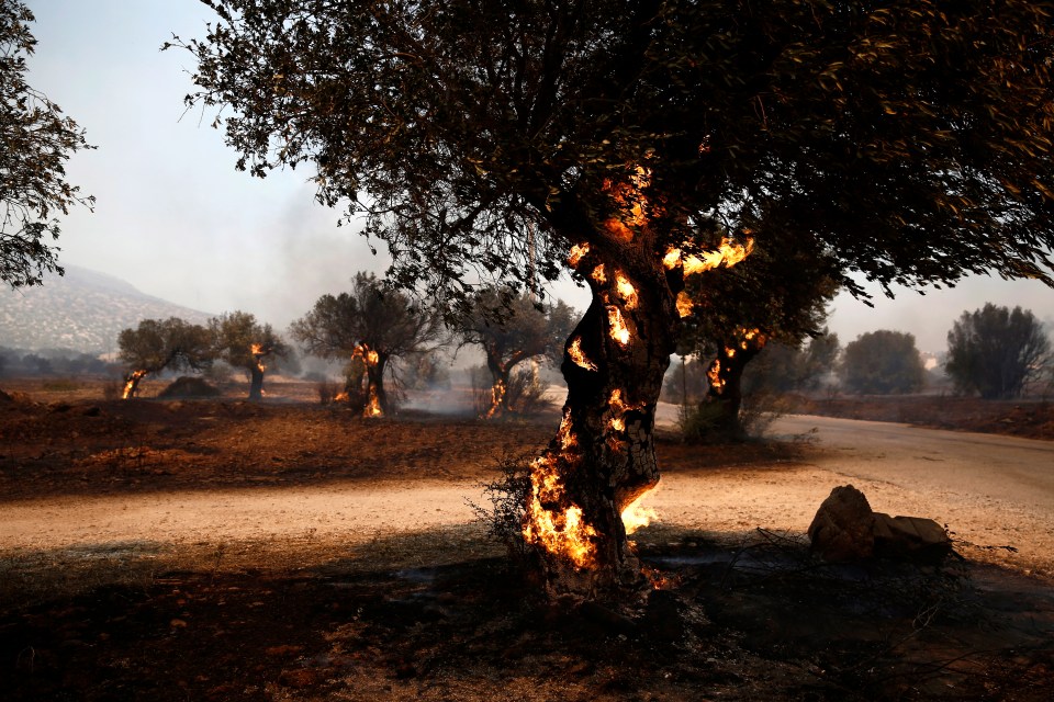 Greece has been gripped by a scorching heatwave since last week