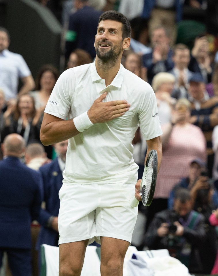 Djokovic reached the final with a dominant victory